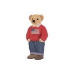 USA Flag Teddy Bear Embroidery Design, Casual Teddy Machine Embroidery Pattern, Fashion Bear Embroidery File for Hoodie, Jacket or Decor